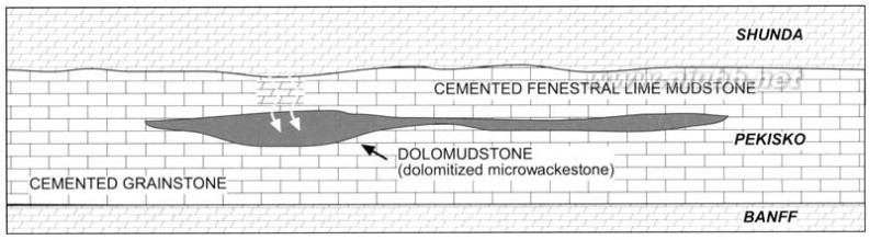 dolomite The geometry and petrogenesis of dolomite hydrocarbon reservoirs-3