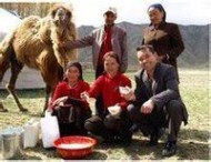 骆驼奶 骆驼奶：骆驼奶-主要产区，骆驼奶-骆驼奶成分