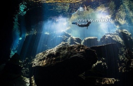 全球水下摄影大赛 全球水下摄影大赛作品：不仅仅惊艳