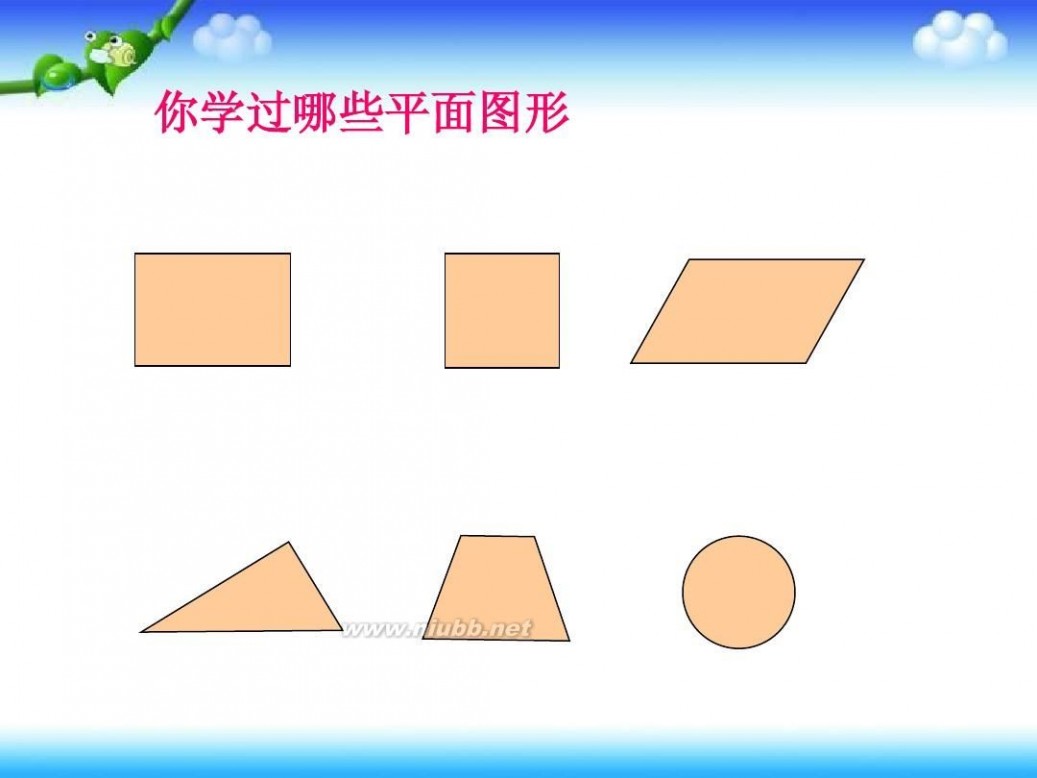 平面图形的周长和面积 平面图形的周长和面积(总复习)