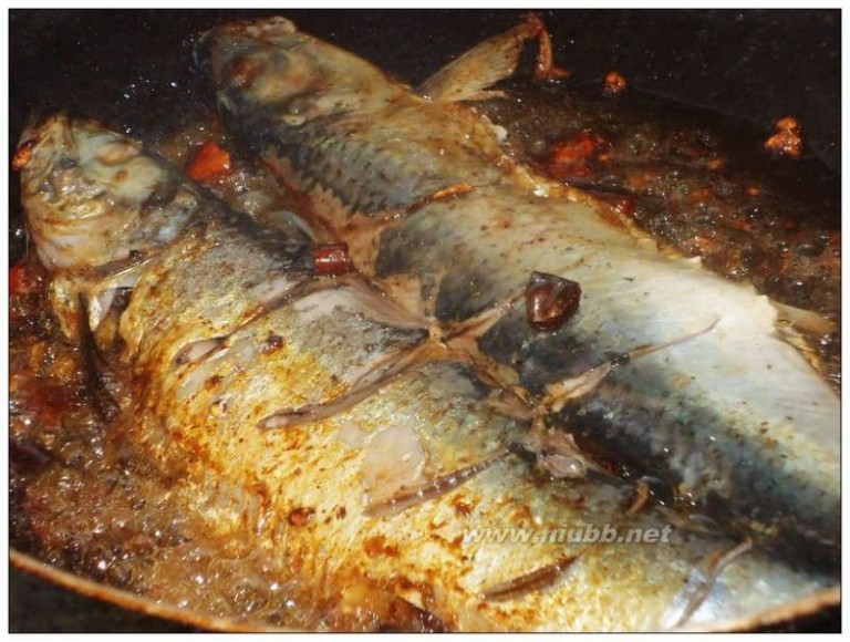 贝蒂儿 红烧青鱼的做法，红烧青鱼怎么做好吃，红烧青鱼的家常做法