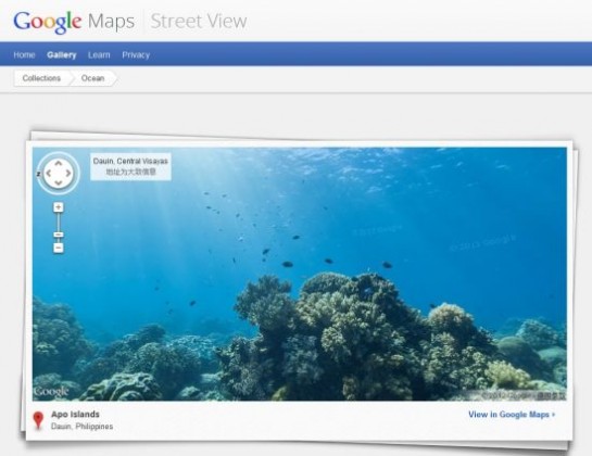 谷歌增加海底“街景”：探索美丽珊瑚礁