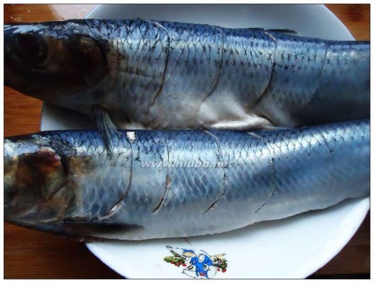 贝蒂儿 红烧青鱼的做法，红烧青鱼怎么做好吃，红烧青鱼的家常做法