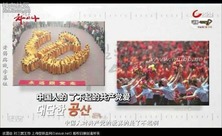 在中国的韩国人 进来看看 现在的韩国人对中国的真实看法