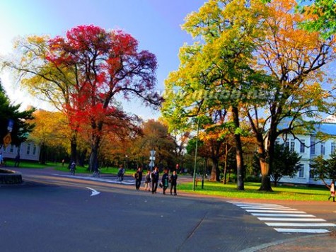 日本最美的大学---北海道大学