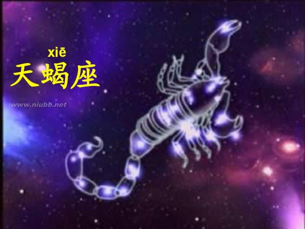 数星星的孩子ppt 数星星的孩子ppt课件