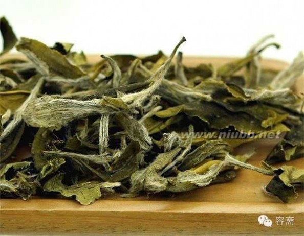 白茶的种类 茶话 | 白茶入门：白茶的种类
