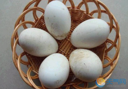 鹅蛋怎么做好吃 吃鹅蛋的药用价值 鹅蛋怎么做好吃