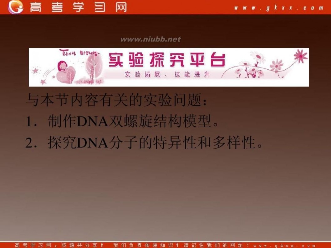 dna分子的结构 DNA分子的结构