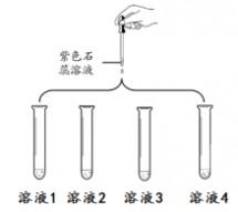 顺义 2015北京市顺义区初三化学一模带答案