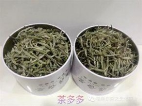 白毫银针 福鼎白茶：200元一斤的白毫银针长这样！!