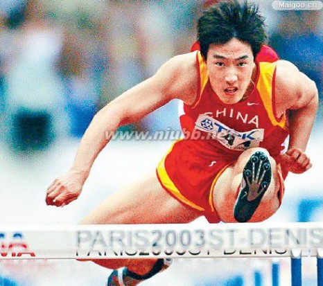 中国运动员 十大扬威国际的中国运动员