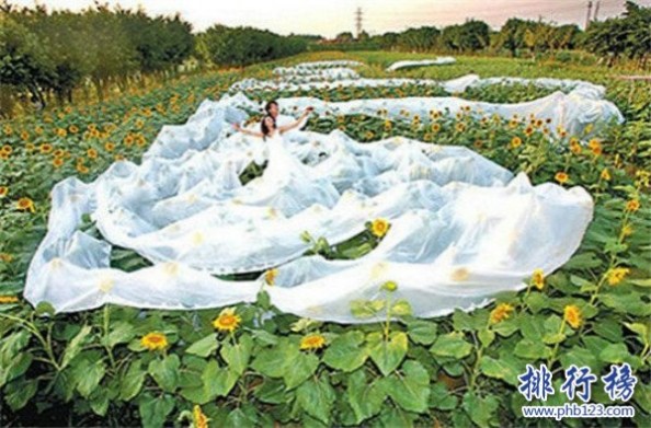 世界上最长的婚纱 世界上最长的婚纱,中国婚纱长达4100米（40人捧裙摆）