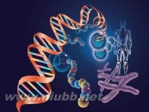 遗传学：遗传学-基本内容，遗传学-遗传过程_遗传学