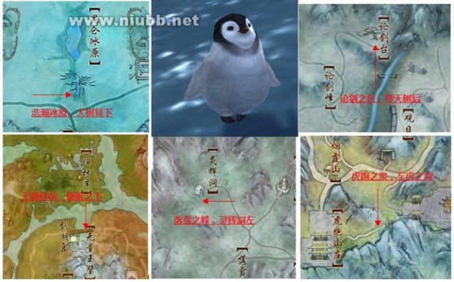 剑网三：五方寒物护异鸟企鹅恢复活力全程攻略（新跟宠小企鹅）
