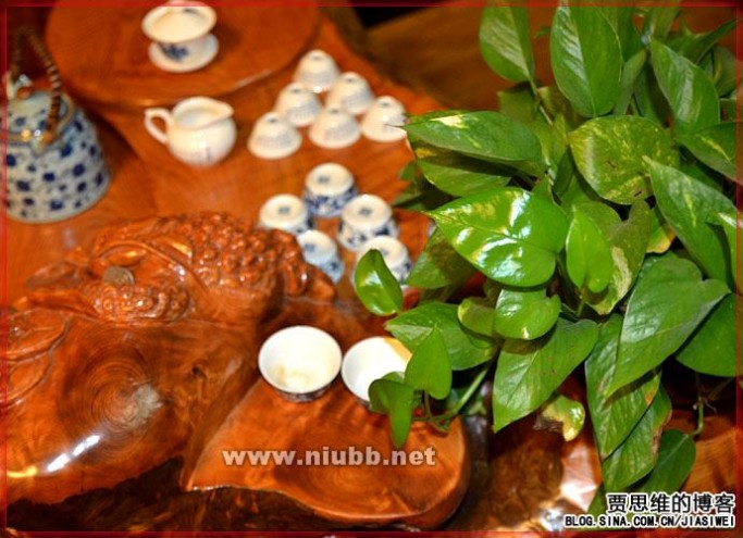 家庭私人根雕茶艺社香樟木大根雕茶海（22张）