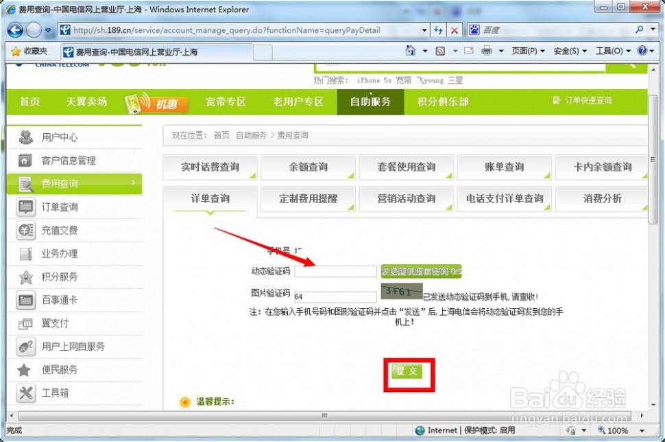 中国电信话费清单查询 网上怎么查询通话记录-中国电信
