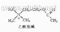 乙酰胆碱：乙酰胆碱-定义，乙酰胆碱-人类对乙酰胆碱的认识_乙酰胆碱