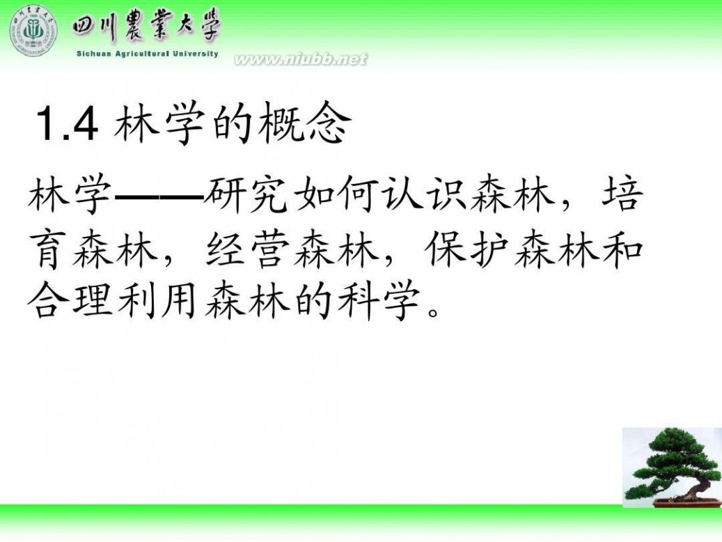 林学概论 四川农业大学 林学概论课件