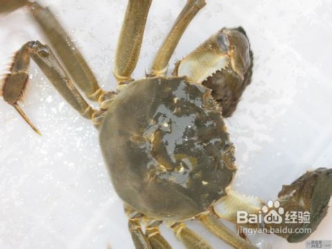 活螃蟹怎么保存 怎样保存活的大闸蟹？