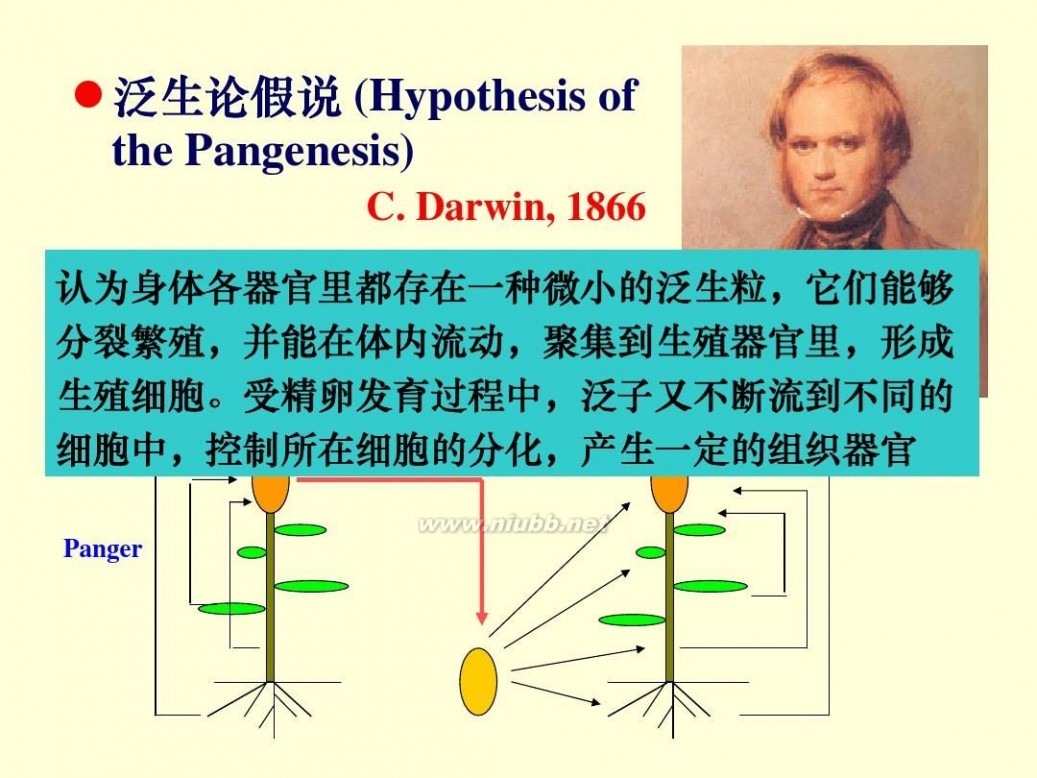 遗传学课件 遗传学课件