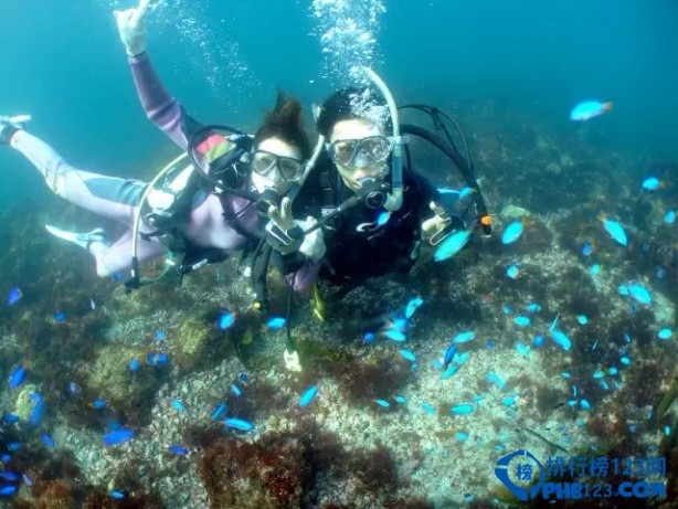 世界上最大的水族馆 日本最值得去的十大水族馆