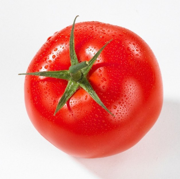 怎样分辨出是催熟的西红柿