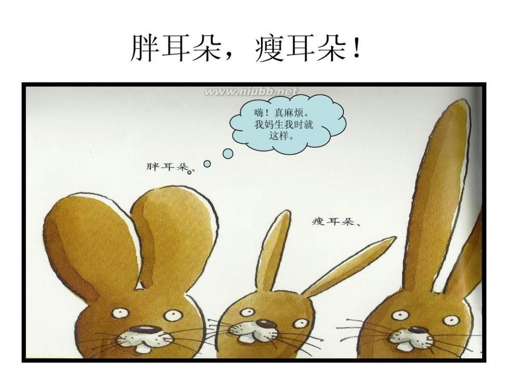 没有耳朵的兔子 没有耳朵的兔子