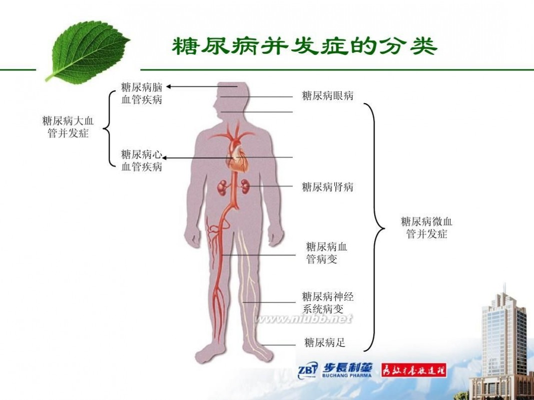 tm2012 2012-TM-01糖尿病基本知识