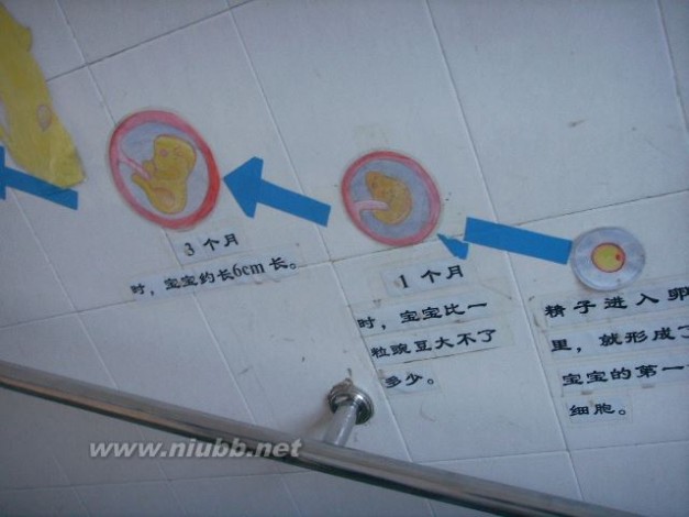 郑州牧专幼儿园 很棒的楼梯设计小宝宝的出生感谢郑州牧专幼儿园
