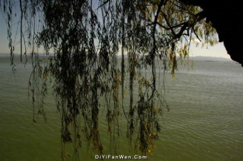 滇池秋色图片