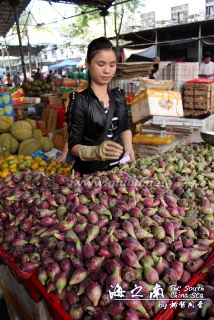 三亚攻略：热带水果和海鲜干货批发市场（五）