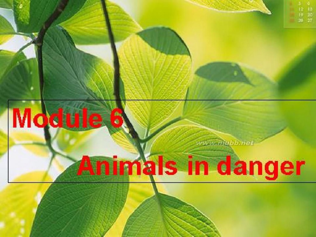 danger Module_6_Animals_in_Danger课件