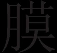 海德能膜技术手册 海德能膜手册