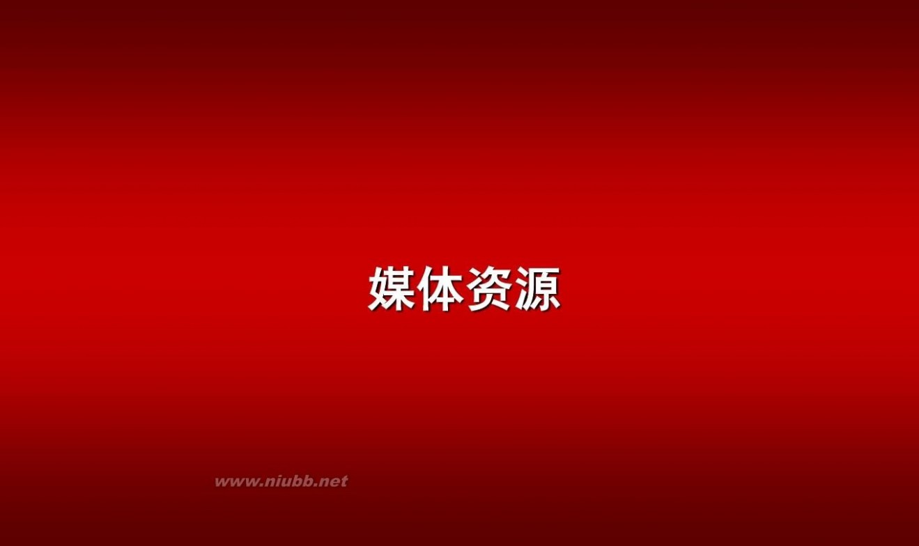 蔡鸿岩 楼市传媒简介2010