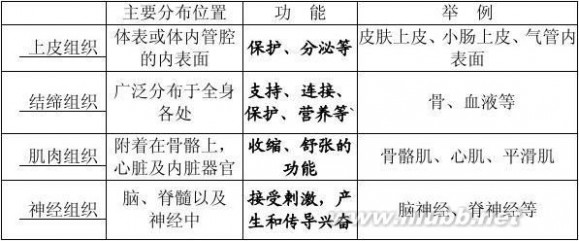 初一生物上册知识点 2014七年级上册生物复习提纲(有答案)