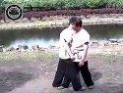 意拳视频 [转载]形意拳(意拳)珍贵视频