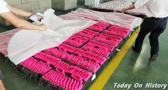 探访全球最大的性用品工厂 情趣用品生产过程!_珠海永宝塑胶制品有限公司