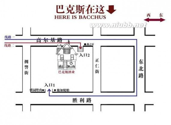 巴克斯 巴克斯活动预警（前方高能）