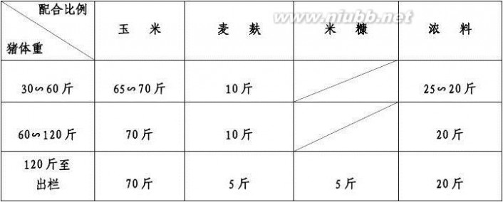 商品猪 商品猪的生产要点