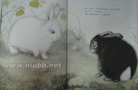 爱的诺言 黑兔和白兔：爱的诺言