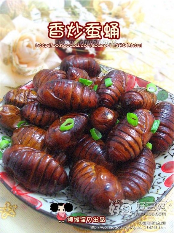 炒蚕蛹 香炒蚕蛹的做法，香炒蚕蛹怎么做好吃，香炒蚕蛹的家常做法