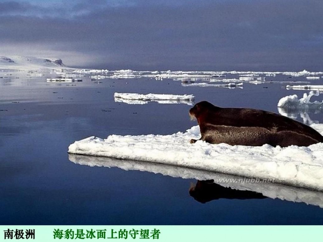 国家地理杂志 国家地理杂志