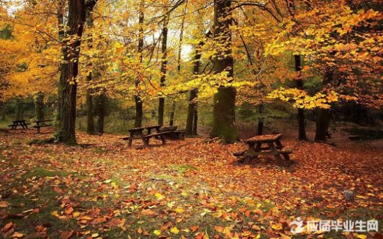描写秋天景色的句子 描写秋天风景的优美句子