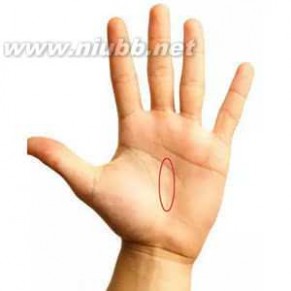 左手还是右手 超准手相剖析，很多人不知道要看左手还是右手？