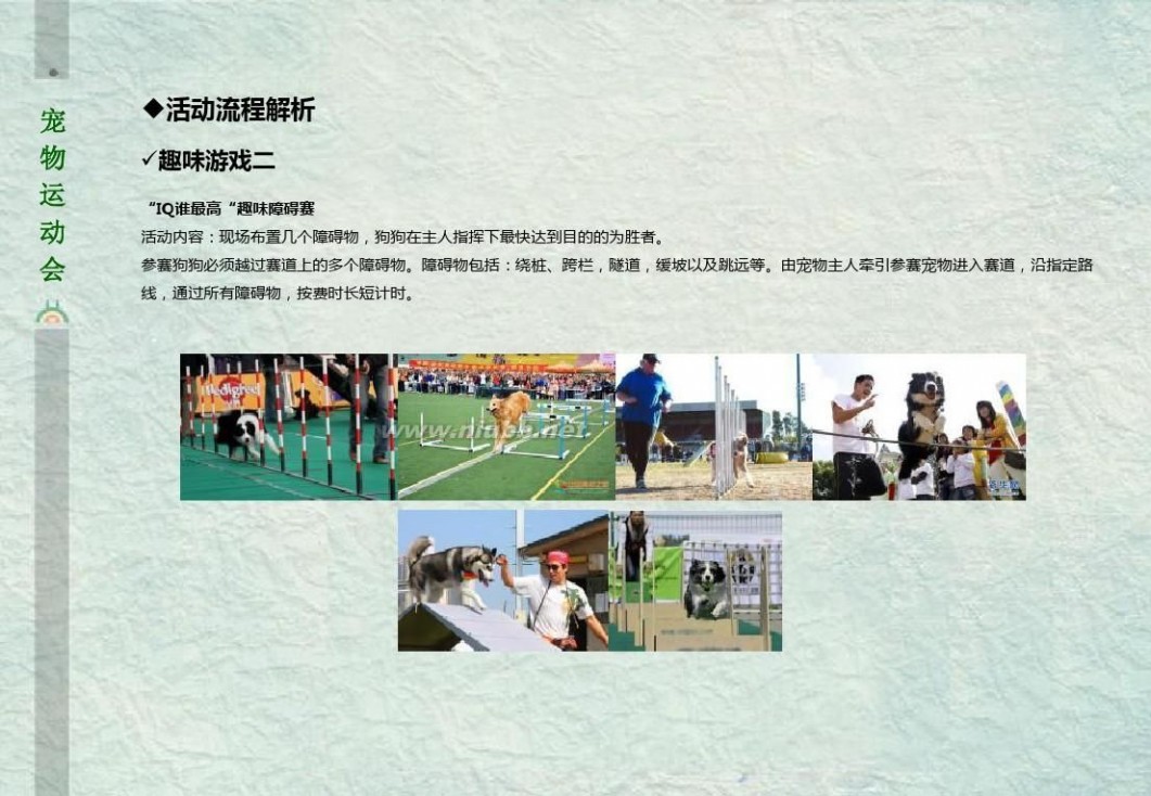 宠物运动会 2014温州首届趣味宠物运动会