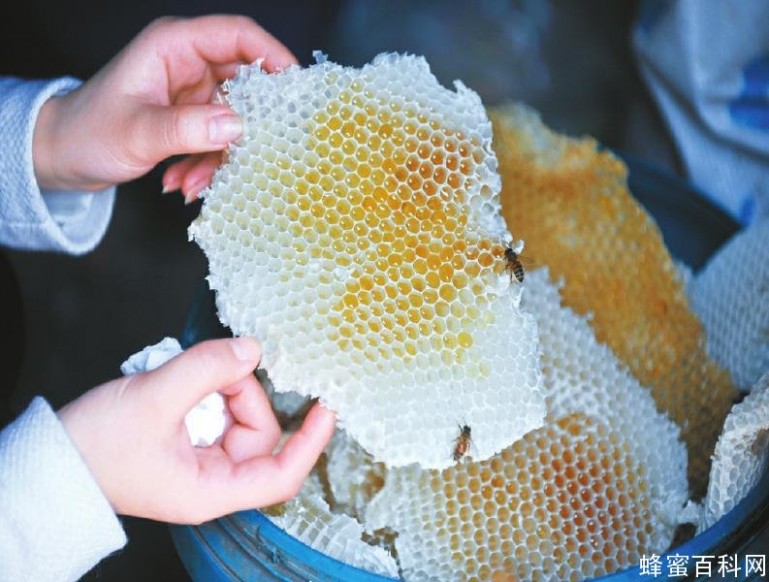 蜂蜜怎么吃最好 蜂巢能吃吗?蜂巢怎么吃最好?
