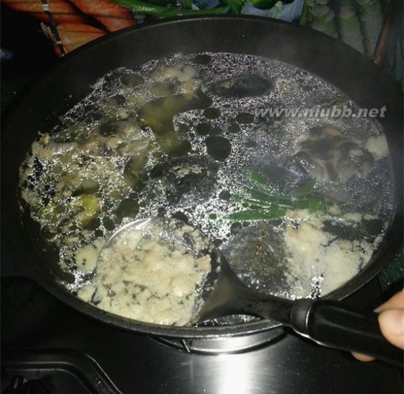 野生甲鱼 野生甲鱼汤的做法,野生甲鱼汤怎么做好吃,野生甲鱼汤的家常做法
