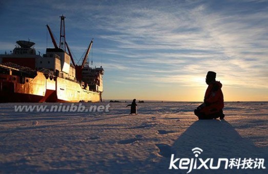 雪龙号科考船 南极企鹅只因好奇 “围观”雪龙号科考船