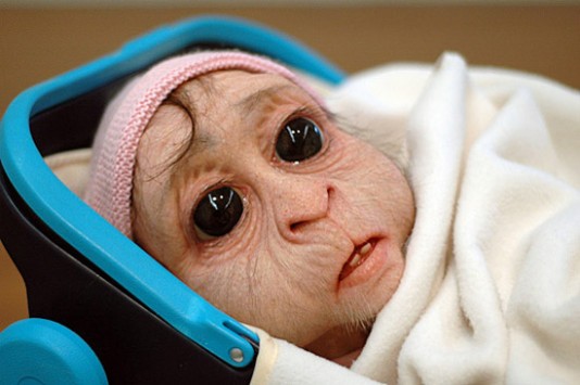 据说猴子刚生下来的孩子就长这样。